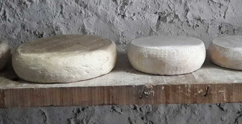 Formaggio artigianale stagionato prodotto in malga
