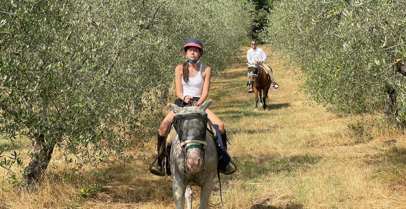 Passeggiata a cavallo tra gli uliveti di Firenze