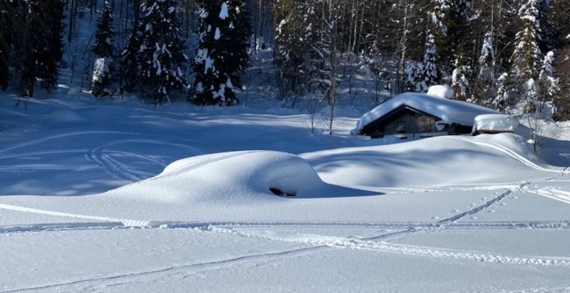 Tour in motoslitta in Friuli con sosta in rifugio e degustazione tipica