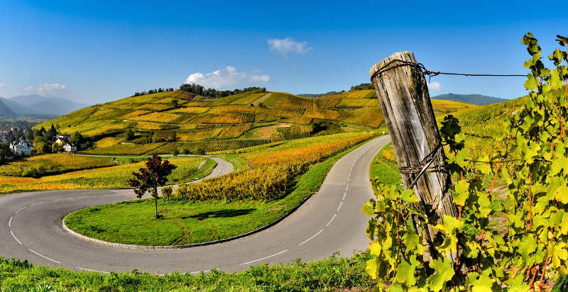 Tour panoramico in Vespa sulle colline del Lago di Garda