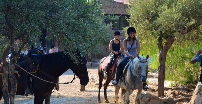 wild-adventure-vacanza-attiva-madonie