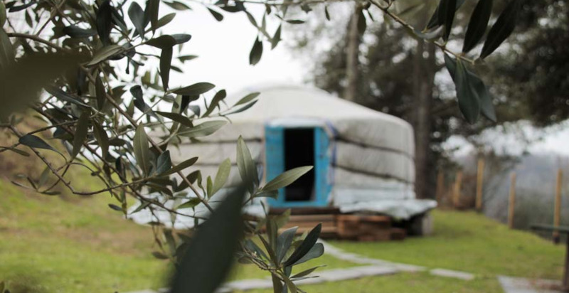 Notte indimenticabile in yurta tra i boschi toscani